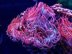 88: MarkShelly_2026-15