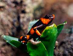 171: MarkShelly_2026-18