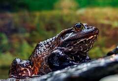 20: MarkShelly_2026-19