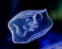 55: MarkShelly_2026-8