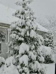 166: MikeGlass_2025-57