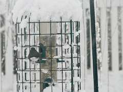 169: MikeGlass_2025-60