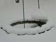 170: MikeGlass_2025-61