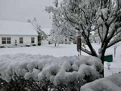 175: MikeGlass_2025-66