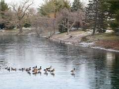 182: MikeGlass_2025-73