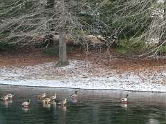 184: MikeGlass_2025-75