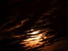 193: TomGeorgio_2025-13