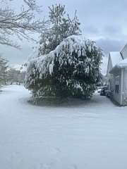 197: TomGeorgio_2025-17