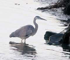 98: WendyTao_2026-14