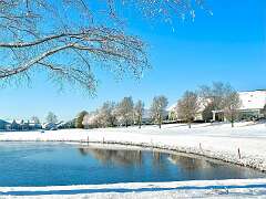 142: WendyTao_2026-9