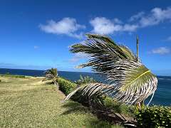 237: Xue-MingBao_2025-80