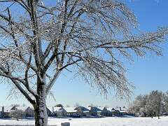 11: Xue-MingBao_2026-11