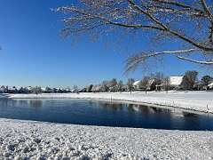 196: Xue-MingBao_2026-13