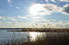 104: Xue-MingBao_2026-2