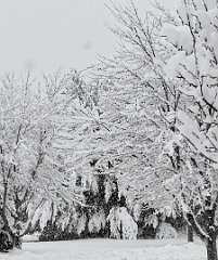 122: jenCurcione_2025-71