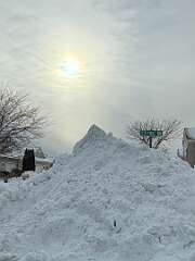 70: jenCurcione_2026-1