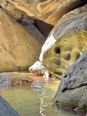 223: wendyTao_2025-105