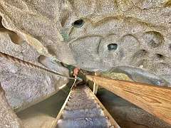 210: wendyTao_2025-92