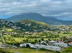 213: wendyTao_2025-95