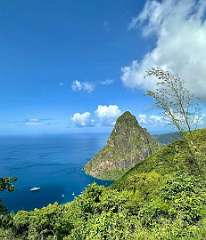 217: wendyTao_2025-99