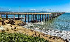 27: AlanToplitz_2026-28