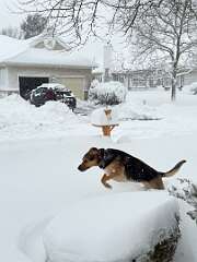 47: AlanToplitz_2026-33