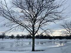 139: BerniceBaline_2026-33