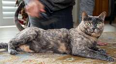 135: BillKirms_2026-79