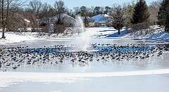 132: BillKirms_2026-82