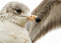 96: BillKirms_2026-91