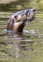 63: BillKirms_2026-94