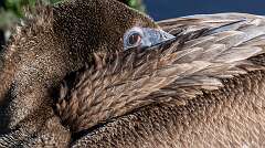 14: BillKirms_2026-95