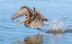 150: BillKirms_2026-97