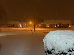 146: CarolAnnManfria_2026-7