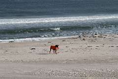 34: DonManfria_2026-36