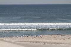 152: DonManfria_2026-37