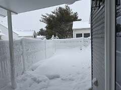 91: DonManfria_2026-58