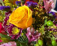 1: JerryPepin_2026-5