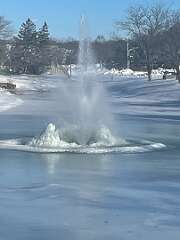 70: KerryKennedy_2026-1