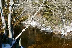 43: MargoPepin_2026-3