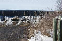 58: MargoPepin_2026-4