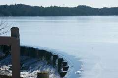 129: MargoPepin_2026-7