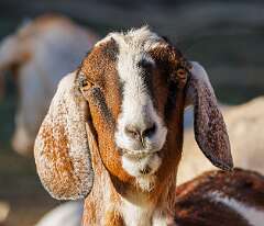 149: MarkShelly_2026-33