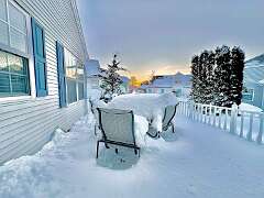 21: WendyTao_2026-17