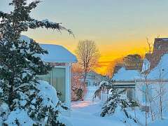 92: WendyTao_2026-18