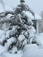 40: Xue-MingBao_2026-33