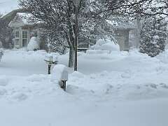 155: Xue-MingBao_2026-36