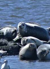 53: jenCurcione_2026-4