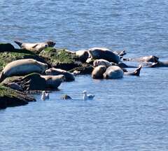 169: jenCurcione_2026-6