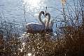 10: AnnaSheldon_2024-7